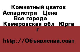 Комнатный цветок Аспидистра › Цена ­ 150 - Все города  »    . Кемеровская обл.,Юрга г.